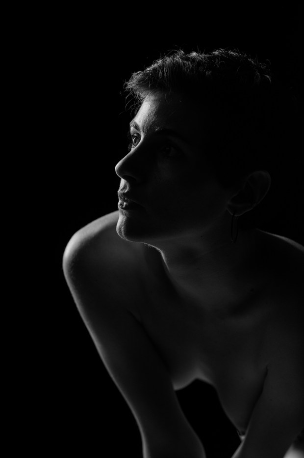 Shadows 2 Artistic Nude Photo print by Model Whitney Masters