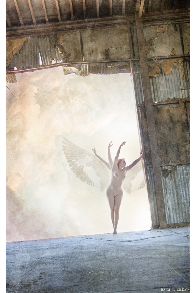 Spread thy wings Artistic Nude Photo print by Photographer balm in Gilead