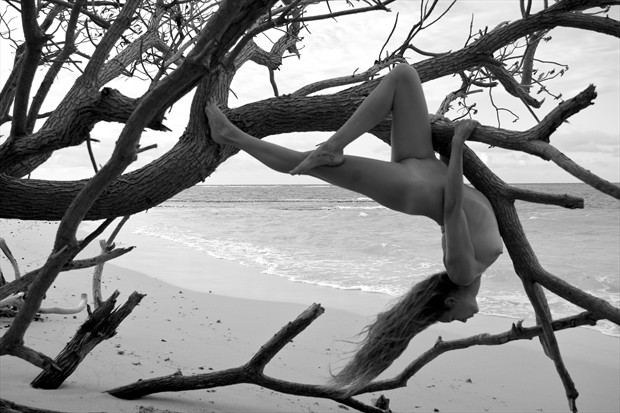 Suspended in the Tree Artistic Nude Photo print by Photographer Jason Tag