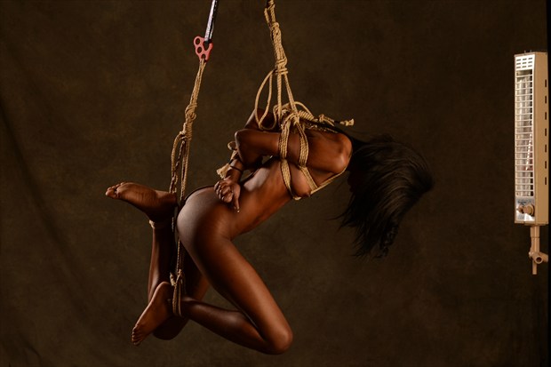 Swing and heat Artistic Nude Photo print by Photographer Bent Photosmith