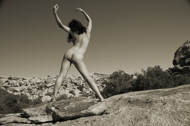 Take It Back Artistic Nude Photo print by Photographer David Winge