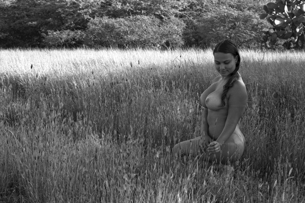 Tall Grass Artistic Nude Photo print by Photographer Jason Tag