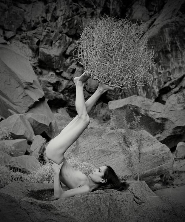 Tumbleweed Artistic Nude Artwork print by Photographer Christopher Ryan