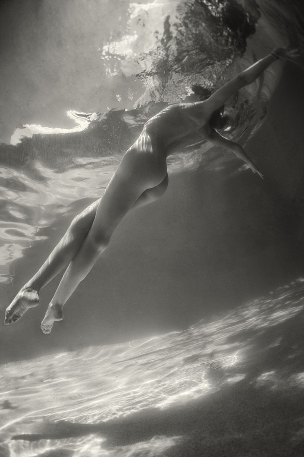 Underwater Flight Artistic Nude Photo print by Photographer EdR