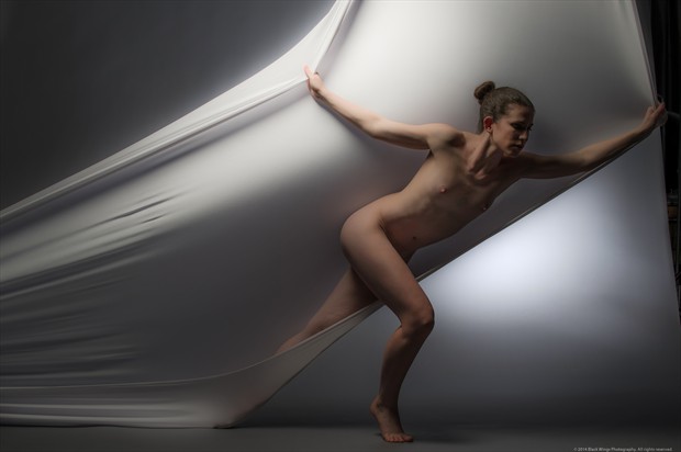 Untitled 4 14_2 Artistic Nude Photo print by Photographer Black Wings