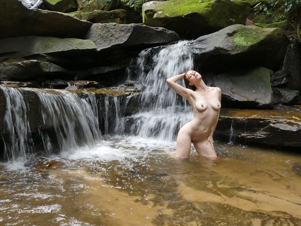 alice artistic nude photo print by photographer dorne shannon