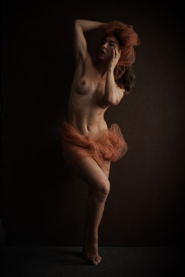 artistic nude erotic photo print by photographer amalgam 