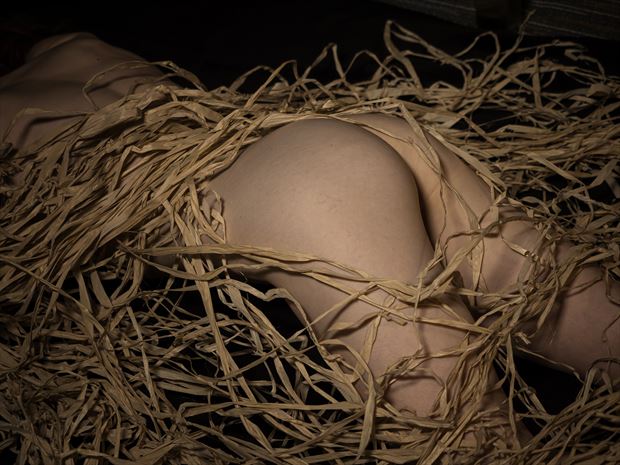 artistic nude sensual photo print by photographer j welborn