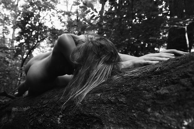 astrid artistic nude photo print by photographer steve cottrill