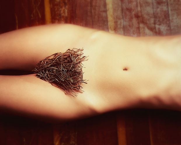 bush artistic nude photo print by photographer robin burch 