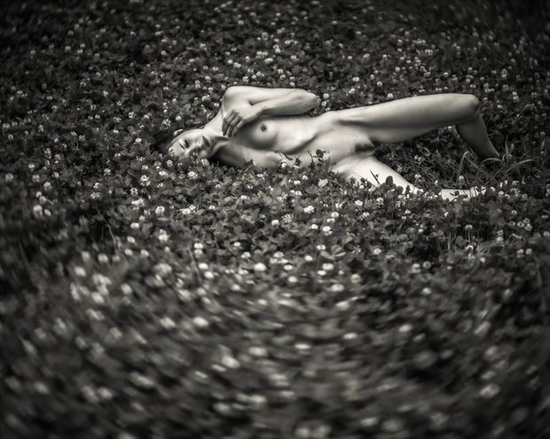 clover field dreams artistic nude photo print by photographer dave earl