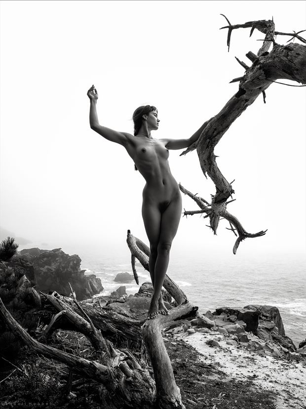 coast watch artistic nude photo print by photographer randall hobbet