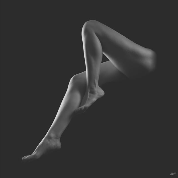 elegant legs artistic nude photo print by photographer swaphoto