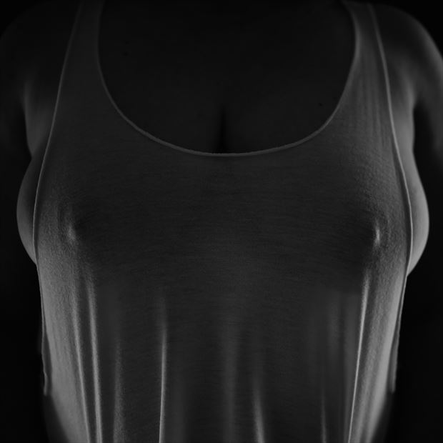 essence of breast sensual photo print by photographer phoenix flower