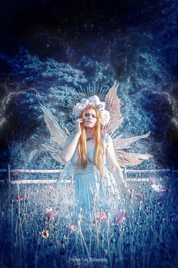 faeries among the wildflowers 2 cosplay photo print by photographer crimson fang photo