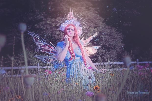 faeries among the wildflowers fantasy photo print by photographer crimson fang photo