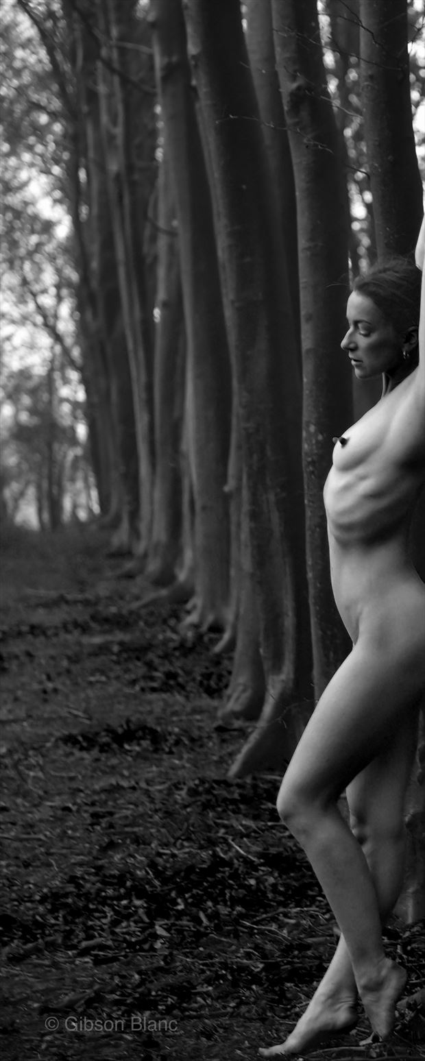 falmer east sussex artistic nude photo print by photographer gibson