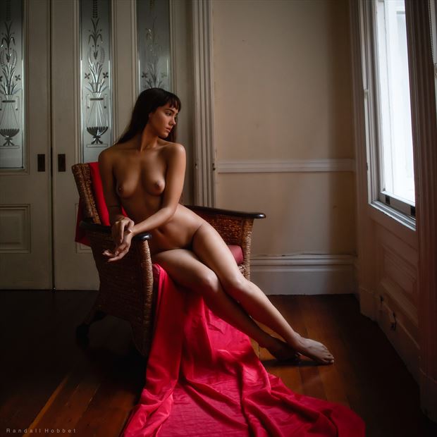 femina sitting by the window artistic nude photo print by photographer randall hobbet
