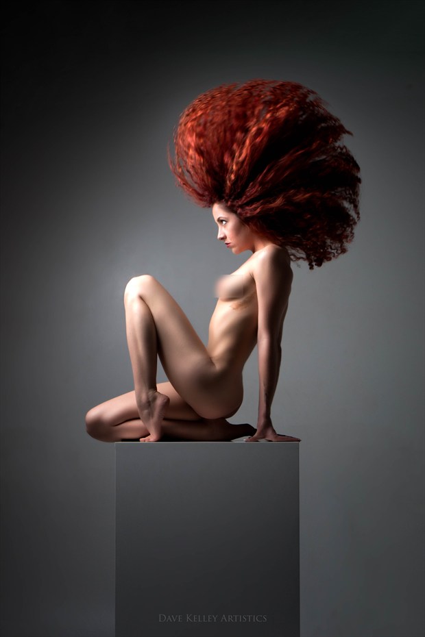 flare Artistic Nude Artwork print by Photographer Dave Kelley Artistics