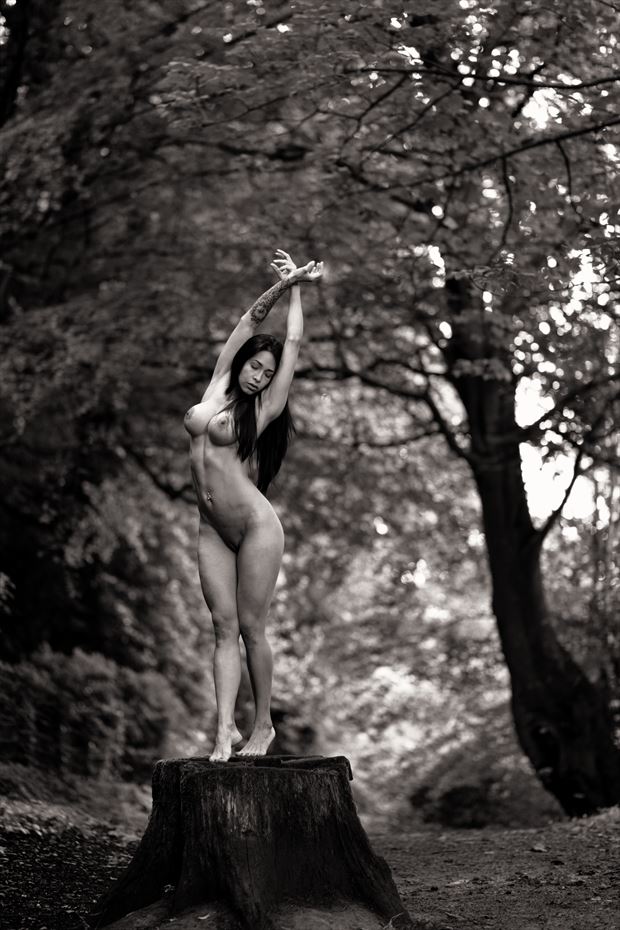 goddess of the forest artistic nude photo print by artist finegan