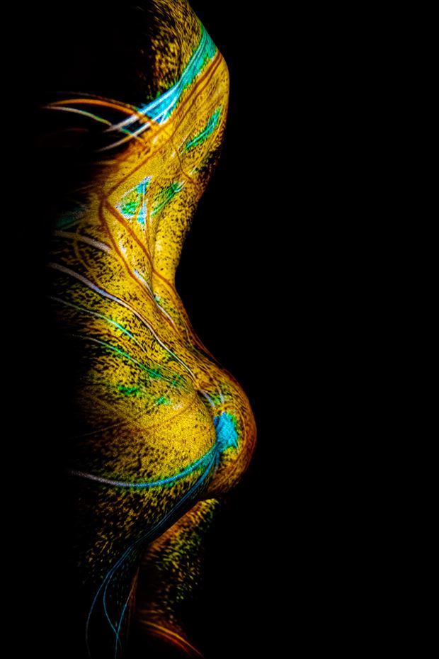 golden girl artistic nude artwork print by photographer intimate images