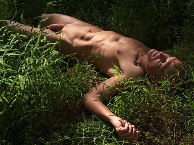 in the grasses artistic nude photo print by model avid light