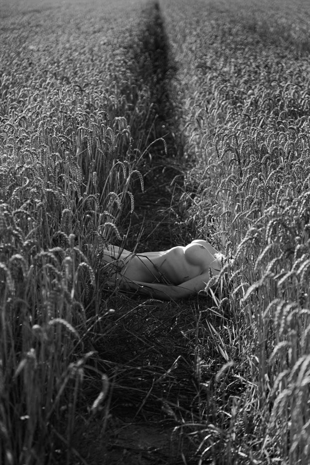 in the wheat field artistic nude photo print by photographer brian cann