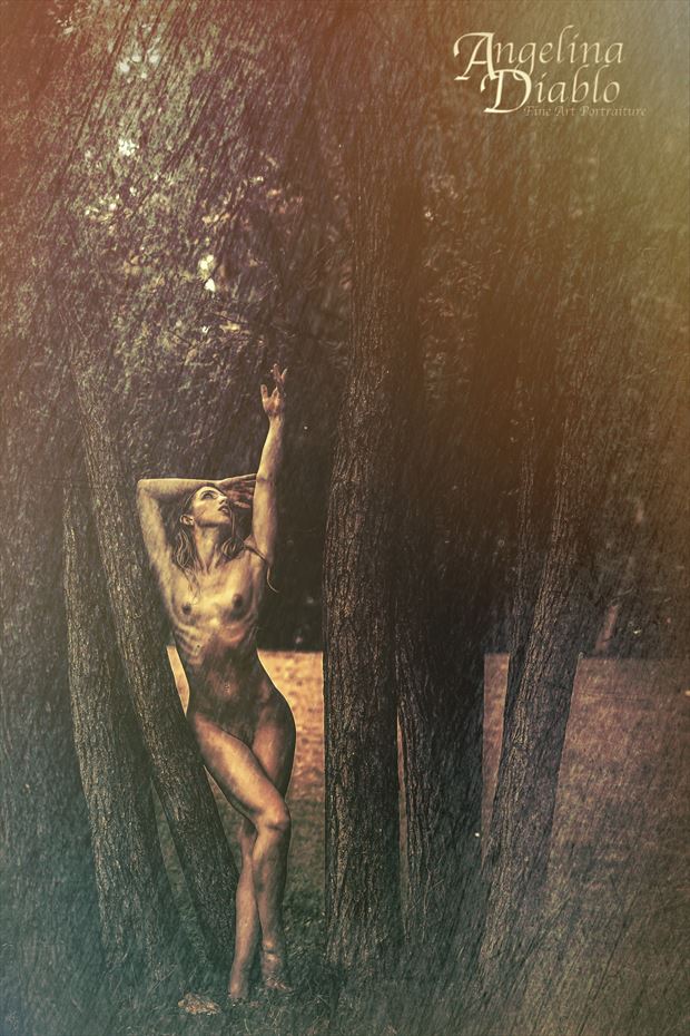 lines of the tree artistic nude photo print by photographer angelina diablo