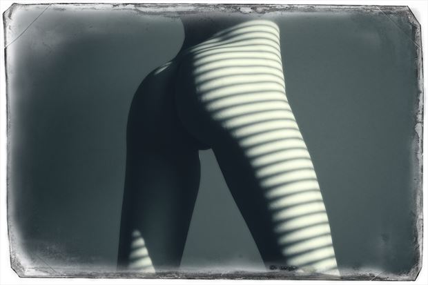 lines on kitty artistic nude photo print by photographer deimos
