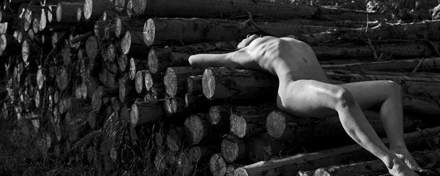 logs artistic nude photo print by photographer gibson
