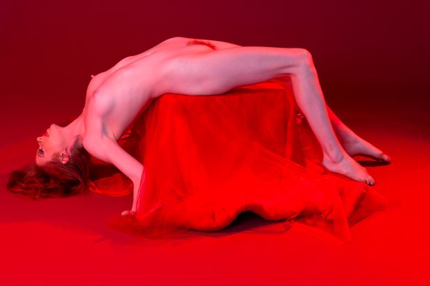 more from red artistic nude photo print by photographer lamont s art works