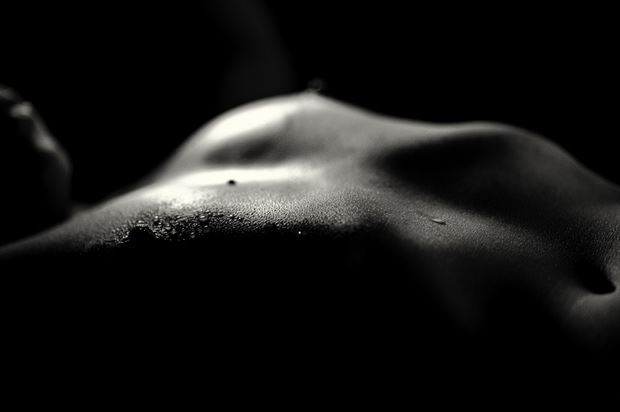muse bodyscape artistic nude photo print by photographer cowz