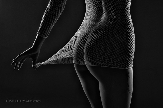 net bottom line Artistic Nude Photo print by Photographer Dave Kelley Artistics