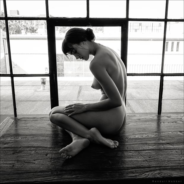 nude on the tabletop artistic nude photo print by photographer randall hobbet