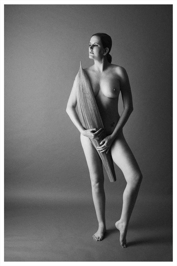 nude with palm spathe artistic nude photo print by photographer thomas photo works