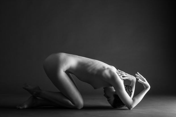 one light sessions artistic nude photo print by photographer gunnar