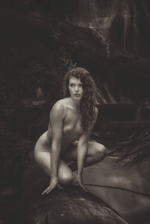 queen of the jungle artistic nude photo print by photographer the artlaw