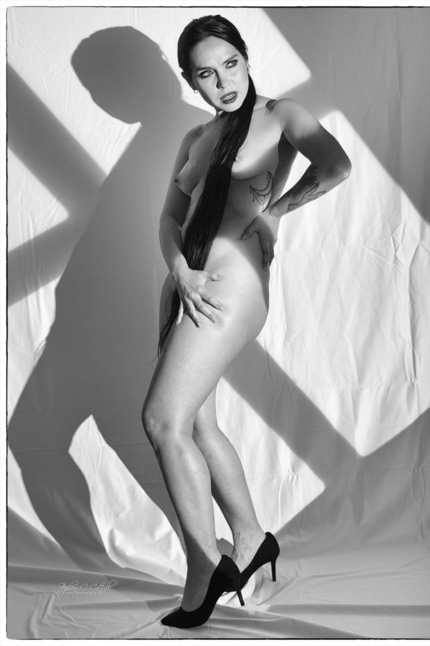 rachel dashae artistic nude photo print by photographer steve cottrill