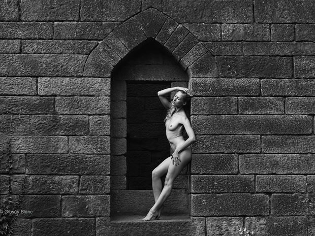 raphealla rivington artistic nude photo print by photographer gibson