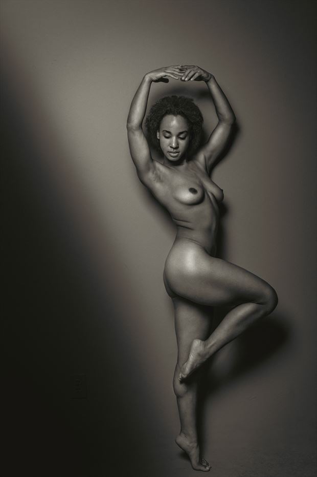 rebel fitz artistic nude artwork print by photographer dieter kaupp