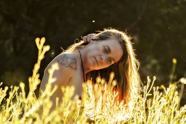 sensual sunshine artistic nude photo print by model ellewoodsnq