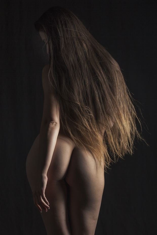 sheba again artistic nude artwork print by photographer tony avellino