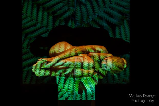sleeping beauty in the forest artistic nude photo print by photographer mdraeger