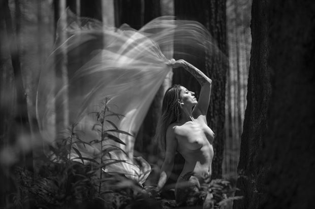 spirit of the forest 3 artistic nude photo print by photographer kjames photo