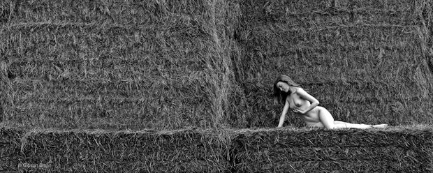 stacked hay artistic nude photo print by photographer gibson