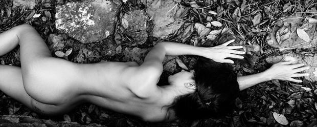 stretched artistic nude photo print by photographer colinwardphotography