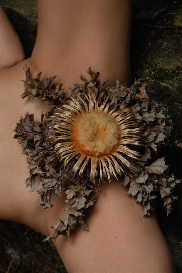 sun and kundalini artistic nude photo print by photographer joseph auquier