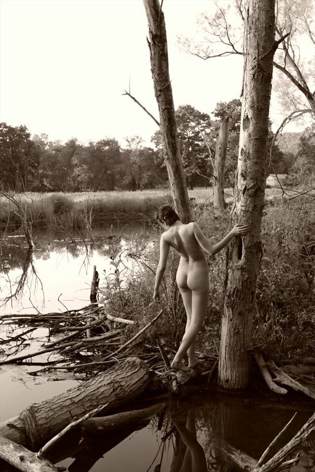 swamp dryad artistic nude photo print by photographer michael grace martin