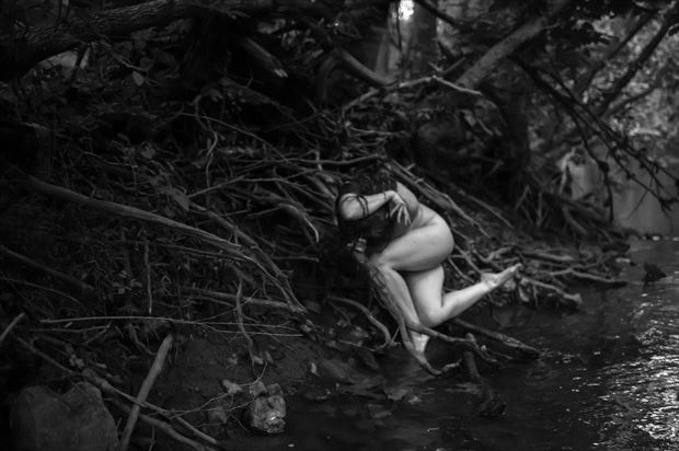 tangled roots artistic nude photo print by model anudemuse