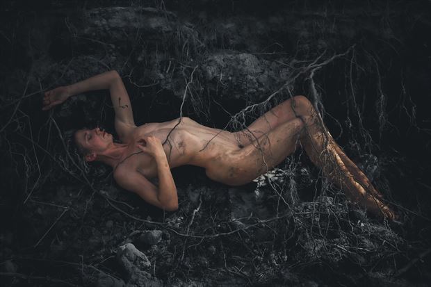 the root system artistic nude photo print by photographer the artlaw